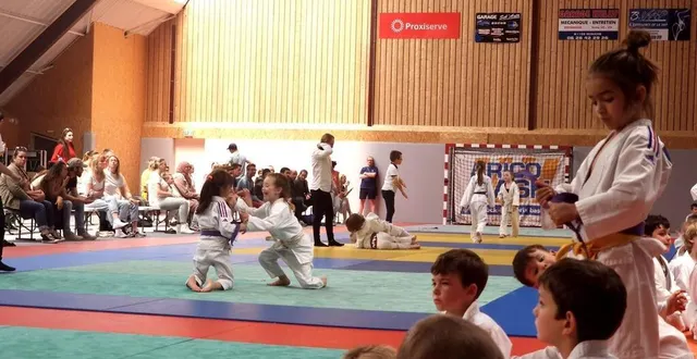 photo  les jeunes judokas lors du tournoi d’écouché-les-vallées.  &copy;  ouest-france 