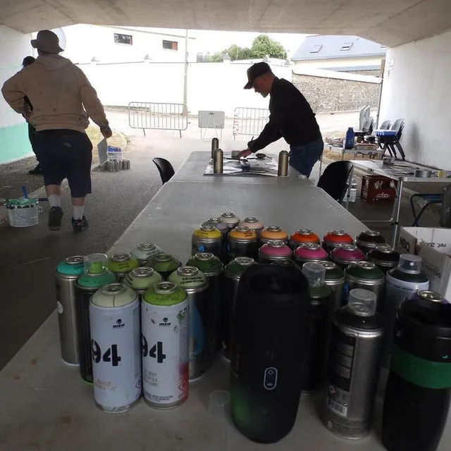 photo près de 400 bombes de peinture ont été utilisés pour recouvrir les 40 m² de la zone.  ©  co