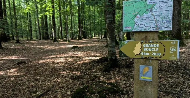 photo  pour passer le week-end au calme loin des 24 heures du mans, pourquoi ne pas opter pour une randonnée comme le chemin du vivier : une boucle de plus de 6 km à faire en famille.  &copy;  ouest-france 