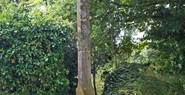 photo  pour se rendre à ce calvaire, dans le bourg de montsecret, prendre la routede saint-quentin-les-chardonnets, puis le premier chemin à droite, il est situé dans le haut du coteau. ce chemin rejoint le cimetière de la commune.  &copy;  ouest-france 