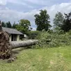 photo  un imposant hêtre est tombé au mont de cerisy à cerisy-belle-étoile, près du bar des rhodos, après l’orage du vendredi 13 juin 2025. 