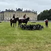 photo lors de la 29e fête de la chasse, au château de sourches, en 2024.