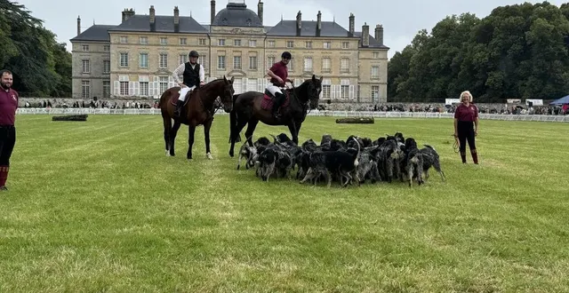 photo  lors de la 29e fête de la chasse, au château de sourches, en 2024.  &copy;  manuela létard 
