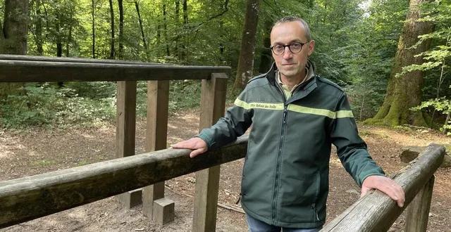 photo  lionel huchette, agent au sein de l’office national des forêts et responsable de l’unité territoriale d’alençon.  &copy;  ouest-france 