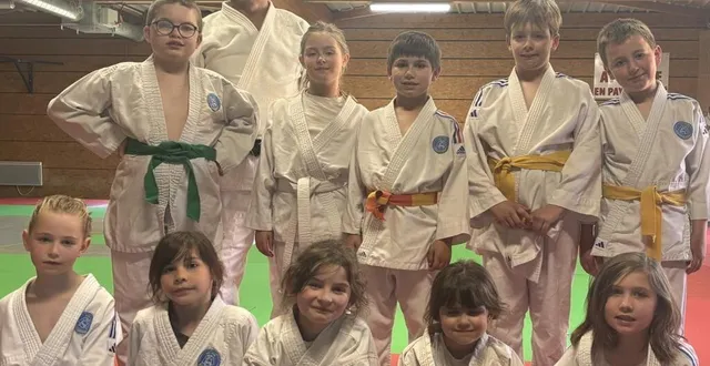 photo  les judokas silléens en pleine progression.  &copy;  judo club sillé 