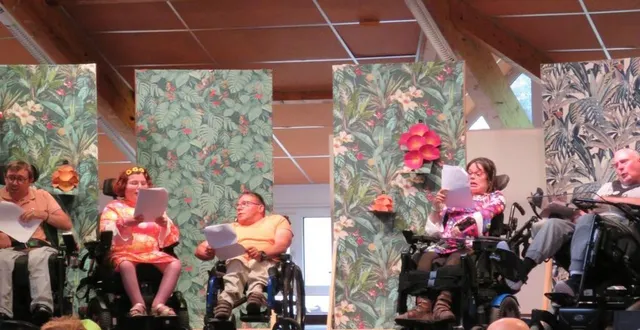 photo  sur scène, fabrice, camille, samuel, rosanna et olivier ont fait preuve de talent.  &copy;  le maine libre 