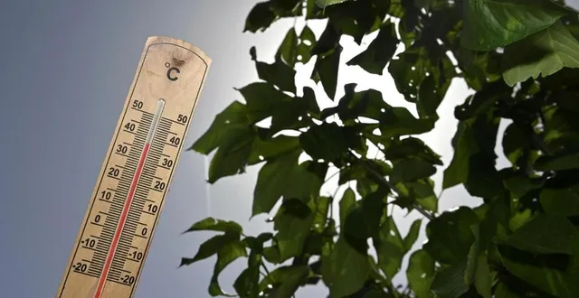 photo  placée en vigilance jaune canicule ce jeudi 19 juin 2025, la sarthe sera en vigilance orange vendredi 20 juin.  &copy;  thomas brégardis / archives ouest-france 