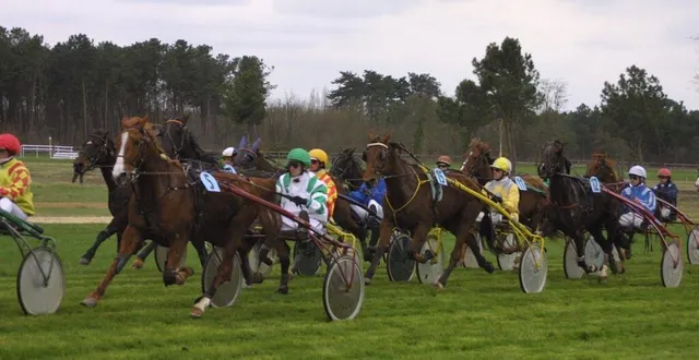 photo  pour s’adapter aux fortes chaleurs, les courses hippiques d’écommoy du dimanche 22 juin 2025 ont été aménagées et se dérouleront en matinée.  &copy;  archives ouest-france 