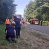 photo  sur la d 110, d’importants moyens ont été utilisés pour maîtriser le feu à mayet, ce jeudi 19 juin 2025. 