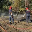 photo  à 20 h, les sapeurs-pompiers sarthois sont toujours mobilisés sur le feu qui a détruit près de deux hectares de forêt dans le sud du département. 