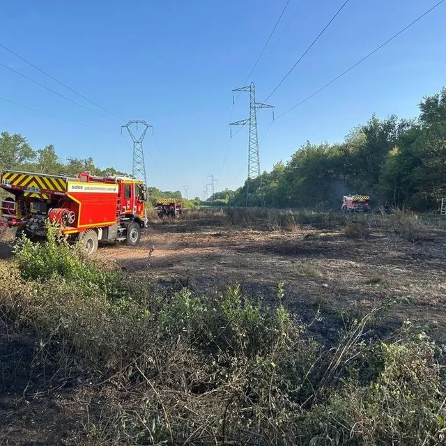 photo un feu de sous-bois, dans le sud de la sarthe, a détruit près de 2 hectares, ce jeudi 19 juin 2025.  ©  ouest-france