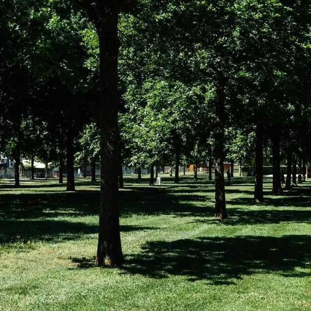 photo le parc des promenades propose de nombreuses zones ombragées.  ©  ouest-france