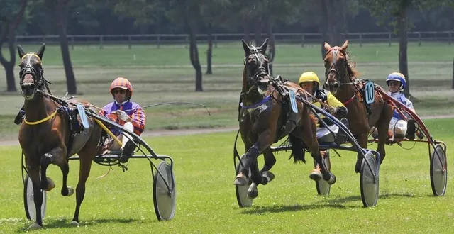 photo  huit courses au programme de la journée.  &copy;  archives le maine libre - yvon loué 