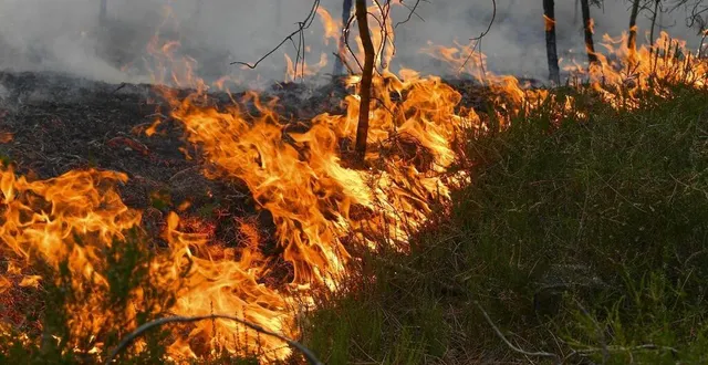 photo  s’agissant de la tourbe, les pompiers ont dû bien noyer le terrain.  &copy;  photo le maine libre - yvon loue 