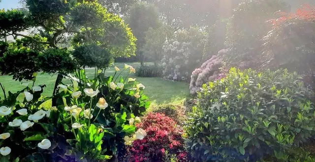 photo  le jardin de jocelyne landreau a obtenu le plus de votes.  &copy;  jocelyne landreau 