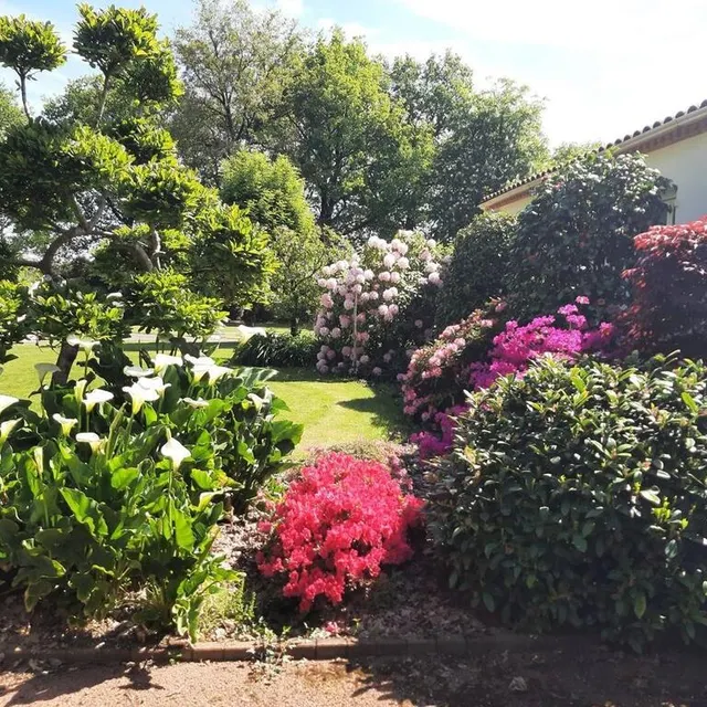 photo saint-germain-sur-moine.  ©  jocelyne landreau