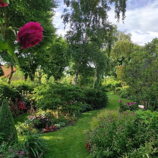 photo maulévrier.  ©  sandrine huort