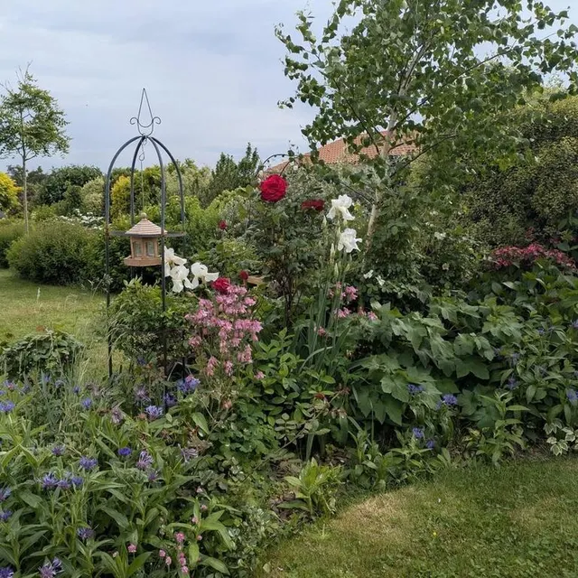 photo sèvremoine.  ©  claire brangeon