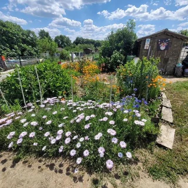 photo cholet.  ©  lydie bakary