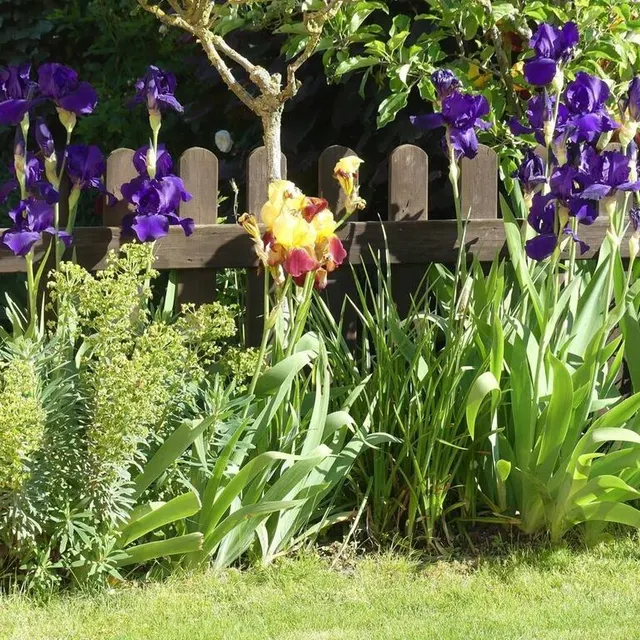 photo chaudron-en-mauges.  ©  jean-louis giraud