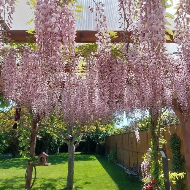 photo la tessoualle.  ©  anne chouteau