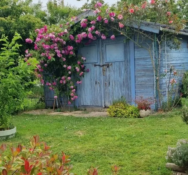 photo champtocé-sur-loire.  ©  pascale le-denmat