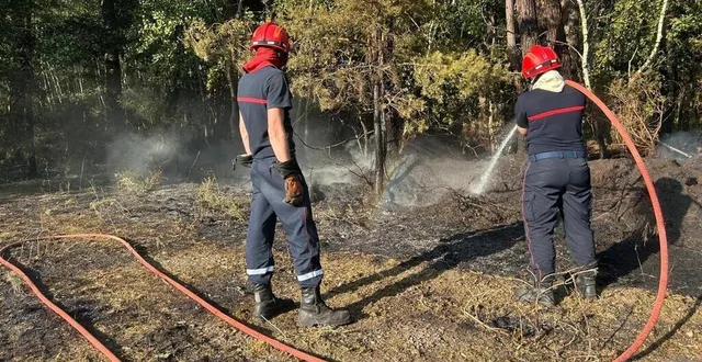 photo  jeudi 19 juin 2025, vers 20 h, les sapeurs-pompiers sarthois étaient mobilisés sur le feu qui a détruit près de deux hectares de forêt dans le sud du département.  &copy;  ouest-france 