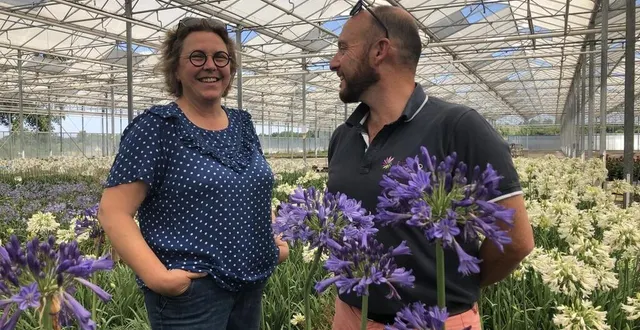 photo  mazé-milon, le 19 juin 2025. cécile et mark hodson, ici dans leur nouvelle serre, sont à la tête de turcieflor (la pépinière pierre turc) depuis 2010. les agapanthes que l’on voit sur cette photo sont l’une de leurs spécialités.  &copy;  co – christophe ricci 