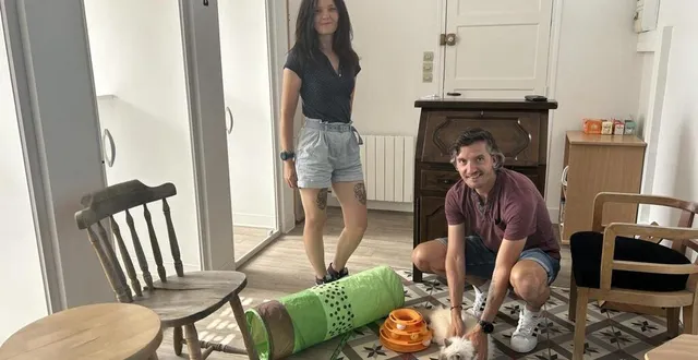 photo  chats choyés et chambres personnalisées : l’arche de lucette fait peau neuve au mans.  &copy;  ouest-france 