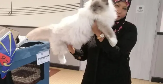 photo  laurence ahmedlala et son sacré de birmanie, venus spécialement de la réunion pour l’exposition.  &copy;  ouest-france 