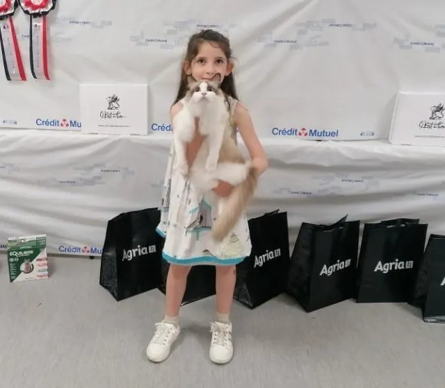 photo selemm, 8 ans et zelda, son ragdoel, heureux de leur première exposition.  ©  ouest-france