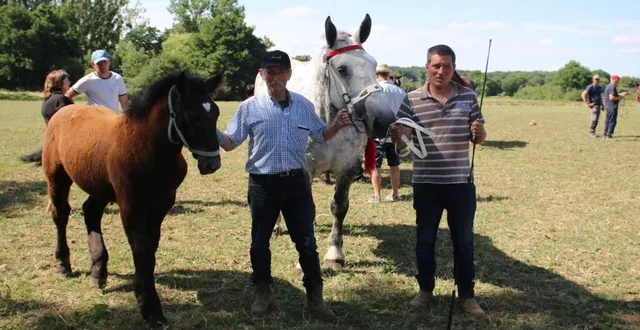 photo  bernard teinturier et son fils guillaume, après la présentation de la jument suitée jelinotte de la haize, 1re dans sa catégorie.  &copy;  ouest-france 