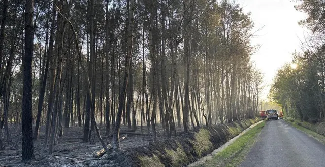 photo  en avril 2025, la commune de mézeray, en sarthe, a été touchée par un incendie.  &copy;  ouest-france 