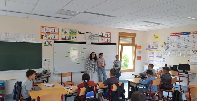 photo  les collégiens de mauboussin ont sensibilisé leurs camarades de cm2.  &copy;  le maine libre 