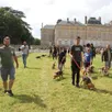 photo la fête de la chasse fêtera dimanche 6 juillet 2025 sa 30e édition dans le parc du château de sourches, à saint-symphorien.
