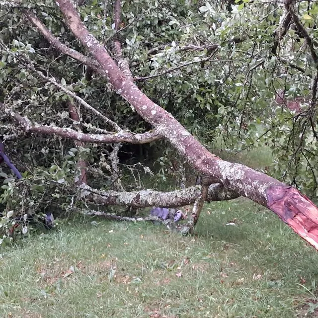 photo des dégâts sont à signaler dans l’orne, notamment à fontenai-les-louvets.  ©  ouest-france