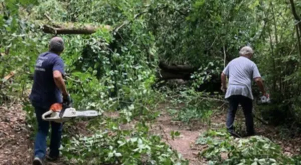 photo  des bénévoles du cyclo-club de vimoutiers ont déblayé le parcours avec leur tronçonneuse.  &copy;  ouest-france 