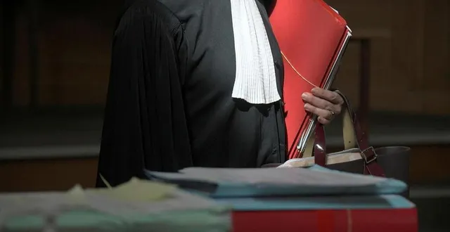 photo  les deux avocats ont plaidé pour la confusion de peine suite à leur dernière condamnation.  &copy;  illustration co / marie delage 