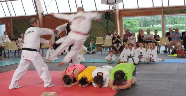 photo  les pratiquants de taekwondo montreront ce qu’ils ont appris à faire.  &copy;  ouest-france 