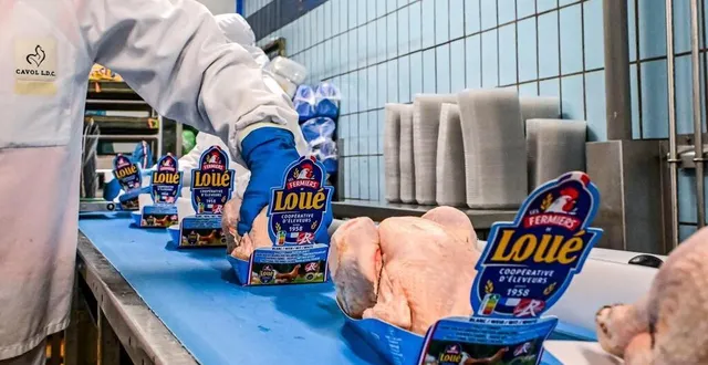 photo  le groupe ldc s’est fixé des objectifs de réduction des émissions carbone et de consommation d’eau d’ici à 2030, sur l’ensemble de ses sites en france et à l’étranger.  &copy;  archives le maine libre - yvon loué 