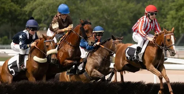 photo  un beau spectacle sportif et solidaire.  &copy;  poneys au galop 