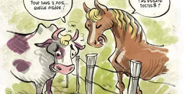 photo  les vétérinaires ruraux se font rares en anjou, comme nous l’expliquions mercredi dernier. toujours à l’affût, notre dessinateur boz a imaginé la perception du désert médical par nos amies les bêtes. éclairant, non ?  &copy;  benoît vieillard 