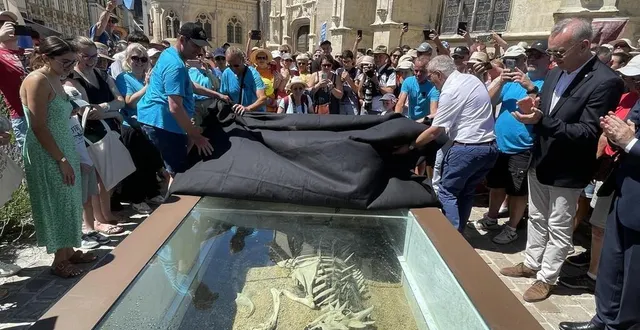 photo  le squelette de la velue reposera désormais devant notre-dame-des-marais.  &copy;  le maine libre - célia genest 