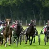 photo neuf courses sur chaque hippodrome.
