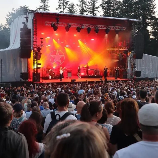 photo il y avait foule lors du concert du rappeur mc solaar.  ©  ouest-france