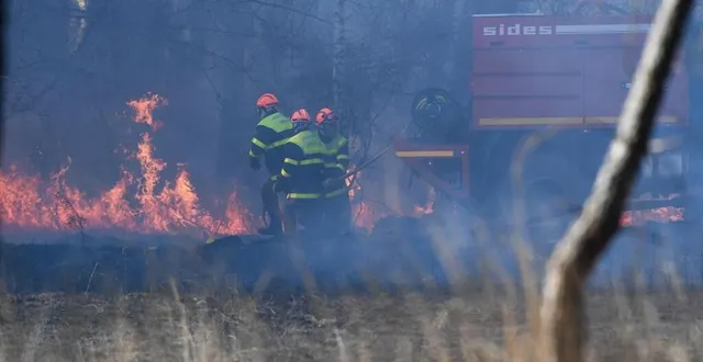 photo  près d’une centaine d’hectares de forêt a brûlé en avril à la breille-les-pins, dans le maine-et-loire  &copy;  archives co - josselin clair 