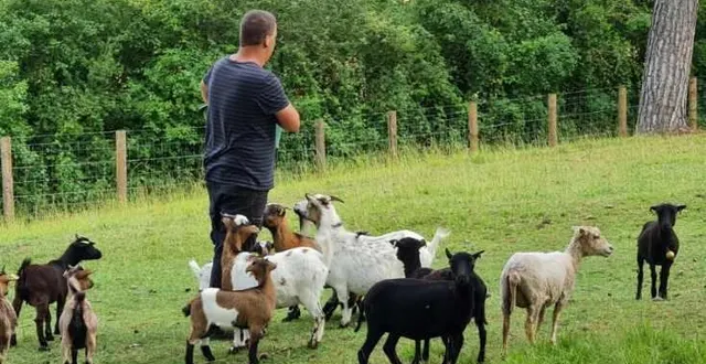 photo  le parc animalier est entretenu par les bénévoles de la commune  &copy;  mairie de bourg-le-roi 