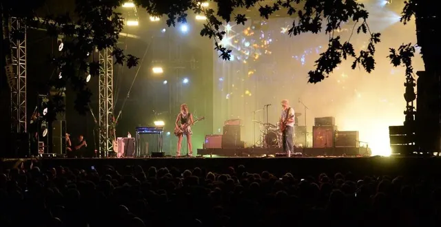 photo  angers, lac de maine, 27 juin. l’ami des festivaliers est un arbre… un peu trop seul sur le site.  &copy;  co 