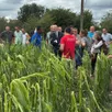 photo  après le passage de l’orage de mercredi 25 juin, le préfet de l’eure est venu constater, à la demande des ja, les dégâts dans des parcelles agricoles à boissey-le-châtel. 