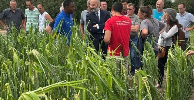 photo  après le passage de l’orage de mercredi 25 juin, le préfet de l’eure est venu constater, à la demande des ja, les dégâts dans des parcelles agricoles à boissey-le-châtel.  &copy;  jeunes agriculteurs 